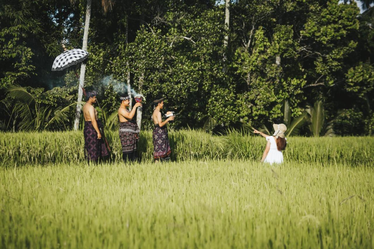 Sunshine Villas Ubud Dış mekan fotoğraf